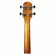 UKULELE GIANNINI GUK 23 CONCERT ACUSTICO C/BAG ZW ZEBRA