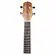 UKULELE GIANNINI GUK 23 CONCERT ACUSTICO C/BAG ZW ZEBRA
