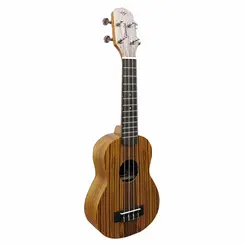 UKULELE GIANNINI GUK 21 SOPRANO ACUSTICO C/BAG ZW - ZEBRA