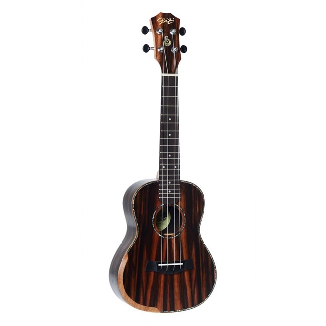 Ukulele clearance seizi concert