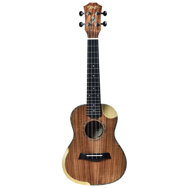 Seizi shop ukulele concert
