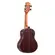 CAVAQUINHO ROZINI RC07ATNJ PROFISSIONAL JACARANDA FISHMAN NATURAL