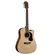 VIOLAO WASHBURN AD5CE PACK NATURAL