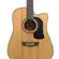 VIOLAO WASHBURN AD5CE PACK NATURAL