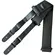 CORREIA BASSO QS 04
