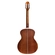VIOLAO SEIZI NAGOYA MIRAI NYLON MAHOGANY SATIN