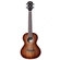 UKULELE SEIZI SUPREME FIJI ACUSTICO KOA BURST