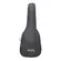 VIOLAO ROZINI RX321 ATNLP PREMIUM FOLK ATV NAT L.PTO COM BAG FISHMAN