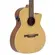 VIOLAO TAGIMA ECHOS MEDIUM JUMBO EQ NYLON SAPELE