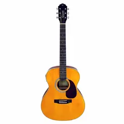 VIOLAO GIANNINI GAD PLUS EQ AUDITORIUM NG NATURAL GLOSSY