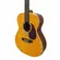 VIOLAO GIANNINI GAD PLUS EQ AUDITORIUM NG NATURAL GLOSSY