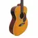 VIOLAO GIANNINI GAD PLUS EQ AUDITORIUM NG NATURAL GLOSSY