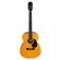 VIOLAO GIANNINI GAD PLUS EQ AUDITORIUM NG NATURAL GLOSSY