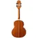 CAVAQUINHO ROZINI RC13 ATFF SIGNATURE FOGACA ATV FOSCO EQ GC2