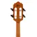 CAVAQUINHO GIANNINI CS9 LRPT FISHMAN CADENCIA EL BRILHANTE NG