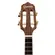 CAVAQUINHO GIANNINI CS9 LRPT FISHMAN CADENCIA EL BRILHANTE NG