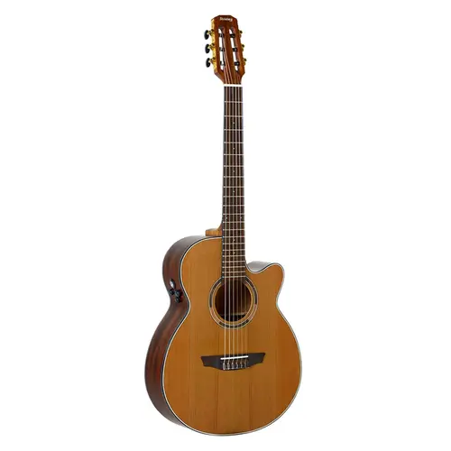 VIOLAO STRINBERG DIAMOND DN1C CLASSICO NS