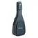 VIOLAO STRINBERG DIAMOND DN1C CLASSICO NS