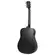 VIOLAO STRINBERG FOREST FS4D HCR FOLK TBS