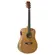 VIOLAO STRINBERG FOREST FS4D HCR FOLK MGS