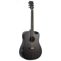 VIOLAO STRINBERG FOREST FS4D HCR FOLK TOS