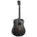 VIOLAO STRINBERG FOREST FS4D HCR FOLK TOS