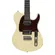 GUITARRA TAGIMA TW 88 2H ESCALA ESCURA ESCUDO TT OWH
