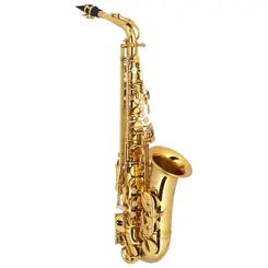 SAX ALTO HOFMA HSA400 GLQ EM MIB