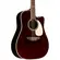 VIOLÃO TAKAMINE JJ325SRCL CTF2N C/ SEMI-CASE