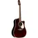VIOLÃO TAKAMINE JJ325SRCL CTF2N C/ SEMI-CASE