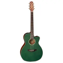 VIOLAO TAKAMINE LTD2025 CTF2N C/ SEMI-CASE