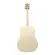 VIOLAO IBANEZ AAD 77M1E ACO EL OAW