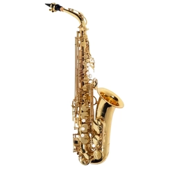 SAX ALTO MICHAEL WASM30N