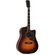 VIOLAO MICHAEL VMF440 FREEBIRD SV SUNBURST VINTAGE