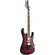 GUITARRA IBANEZ RG470DXW WZM
