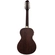 VIOLA 10 CORDAS EQ ACO T/SPRUCE B/S AGATHIS PANTANEIRA NTABS TAGIMA
