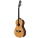 VIOLA 10 CORDAS EQ ACO T/SPRUCE B/S AGATHIS PANTANEIRA NTABS TAGIMA