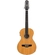 VIOLA 10 CORDAS EQ ACO T/SPRUCE B/S AGATHIS PANTANEIRA NTABS TAGIMA