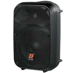 CAIXA AMPLIFICADA STANER SR88A