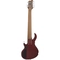CONTRABAIXO 5C STRINBERG HORIZON H5B TRB TRANSPARENT RED/BLACK