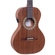 VIOLA ROZINI RV216 FP2FLP P BRASIL MORENA CINTURADA ATV FOSCO EQ FISHMAN PRESYS II