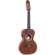 VIOLA ROZINI RV216 FP2FLP P BRASIL MORENA CINTURADA ATV FOSCO EQ FISHMAN PRESYS II