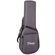 VIOLAO TAKAMINE LTD2023 CTF2N C/CAPA