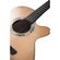 VIOLAO TAKAMINE LTD2023 CTF2N C/CAPA
