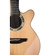 VIOLAO TAKAMINE LTD2023 CTF2N C/CAPA