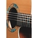 VIOLAO TAKAMINE LTD2023 CTF2N C/CAPA
