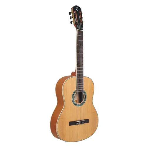 VIOLAO TAGIMA PARATY NYLON  NS - NATURAL SATIN