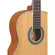 VIOLAO TAGIMA PARATY NYLON  NS - NATURAL SATIN