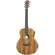 VIOLAO TAYLOR GS MINI E KOA