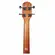 UKULELE GIANNINI GUK 23 CONCERT SAPELE C/BAG WS - WALNUT SATIN